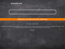 Tablet Screenshot of paturnpik.com